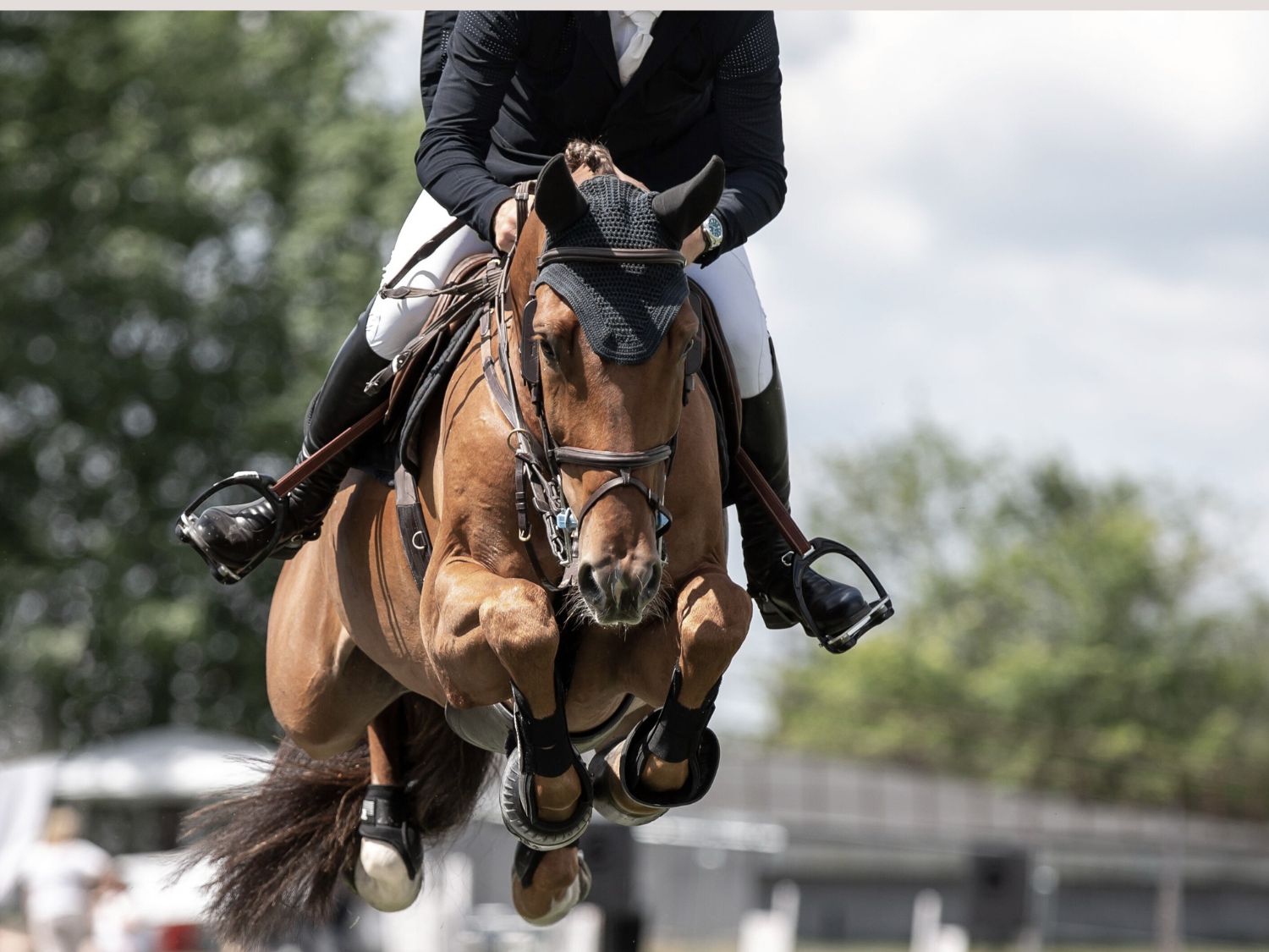 Die Ehrenamtskarte » Wir sind dabei