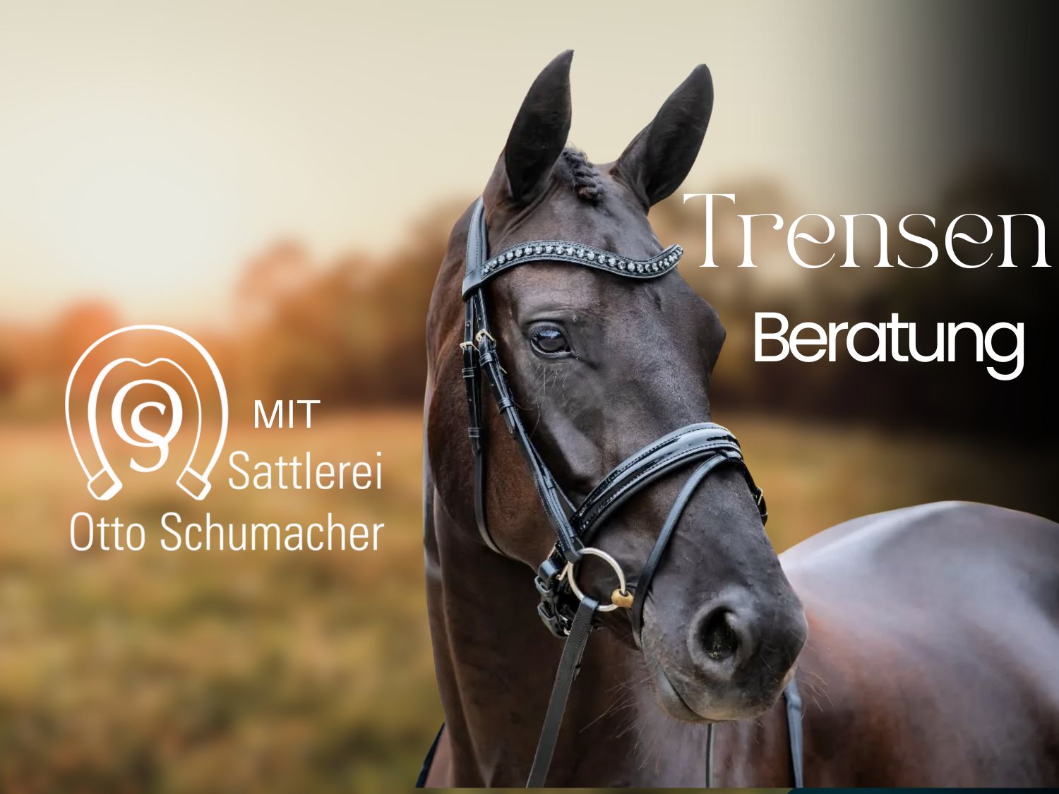 Trensenberatung mit Otto Schumacher am 04.08.25