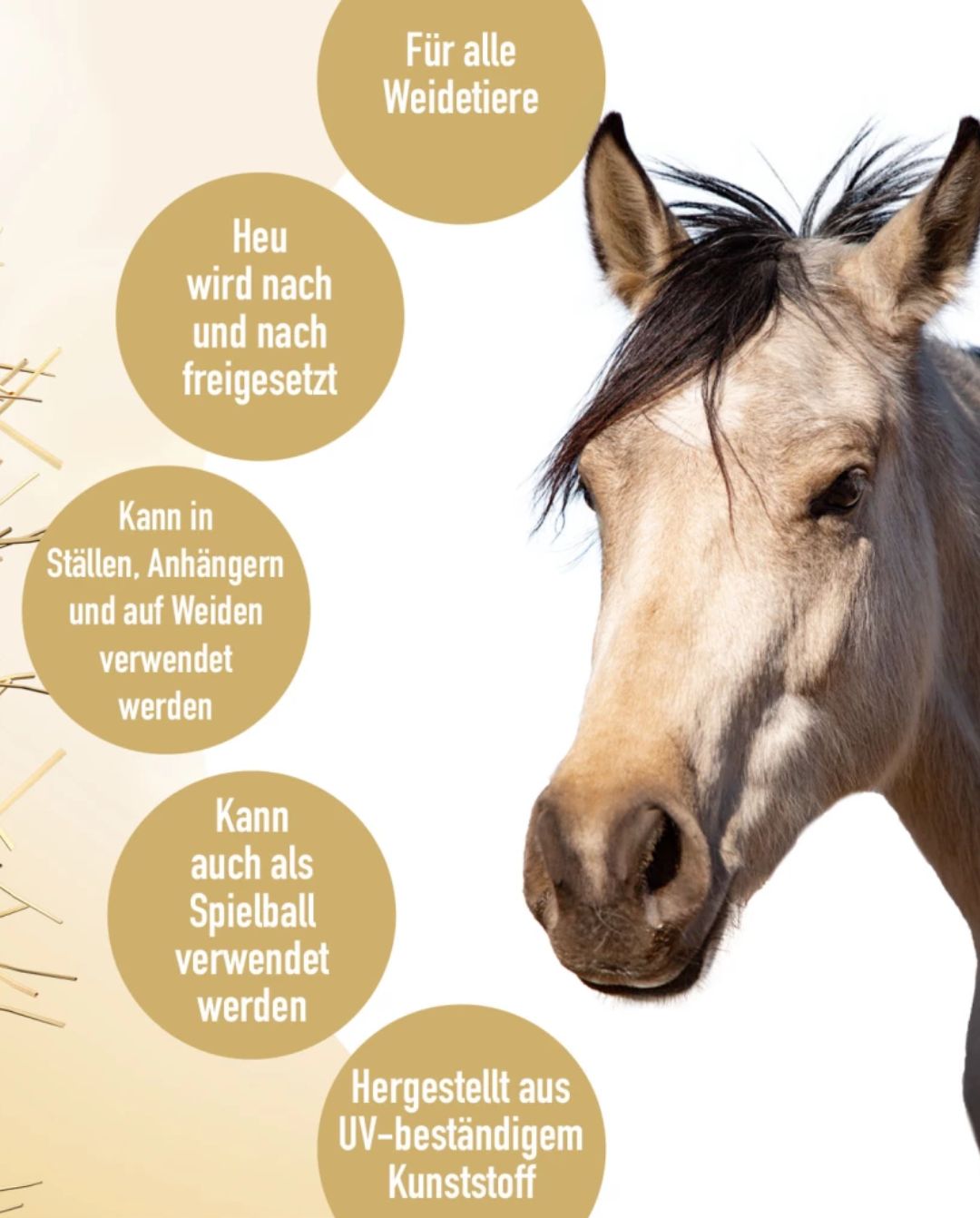 Pferdespielzeug Fun & Flex Ball Green