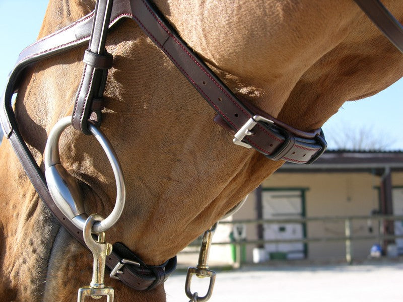 DY'ON »Trense X-Fit New English Collection Bown