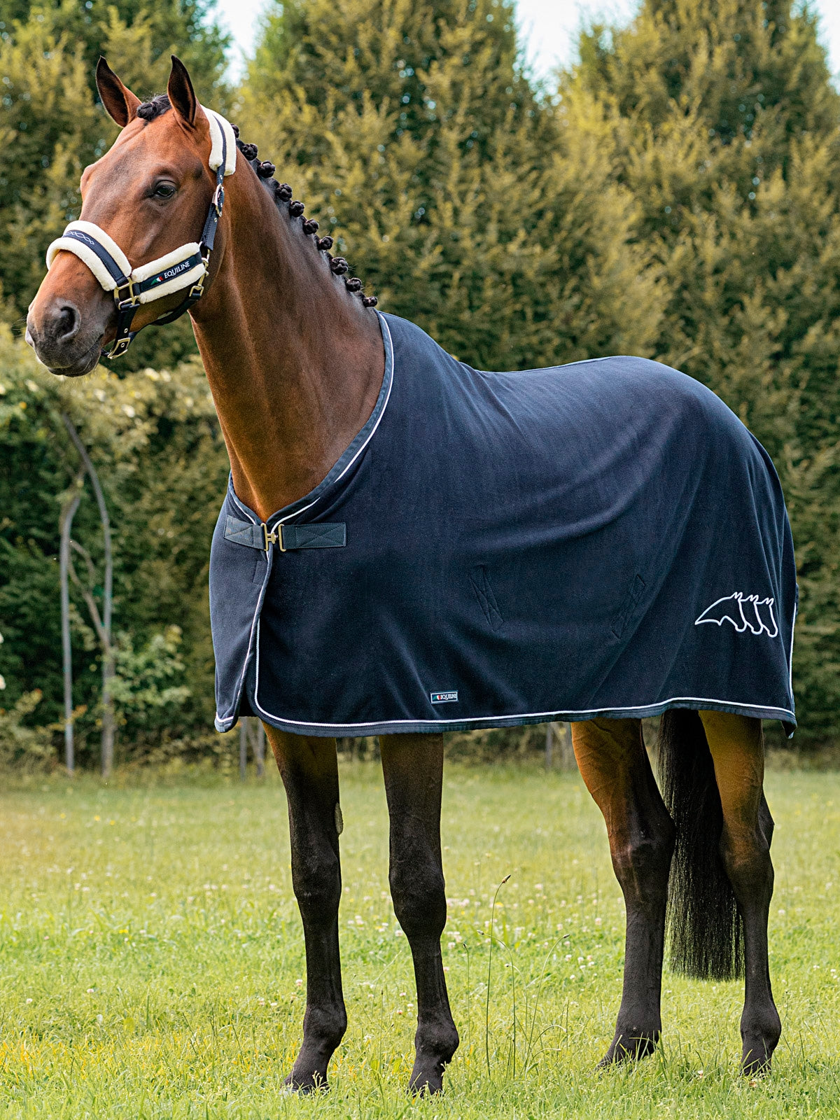 Die EQUILINE Pferde Abschwitzdecke "Voghel" in Blau (Artikelnummer ES123PA11223-002) ist eine hochwertige Wahl für Ihr Pferd. Sie bietet nicht nur Komfort, sondern auch einen tollen Look. Erhältlich bei www.Hotti24.de.