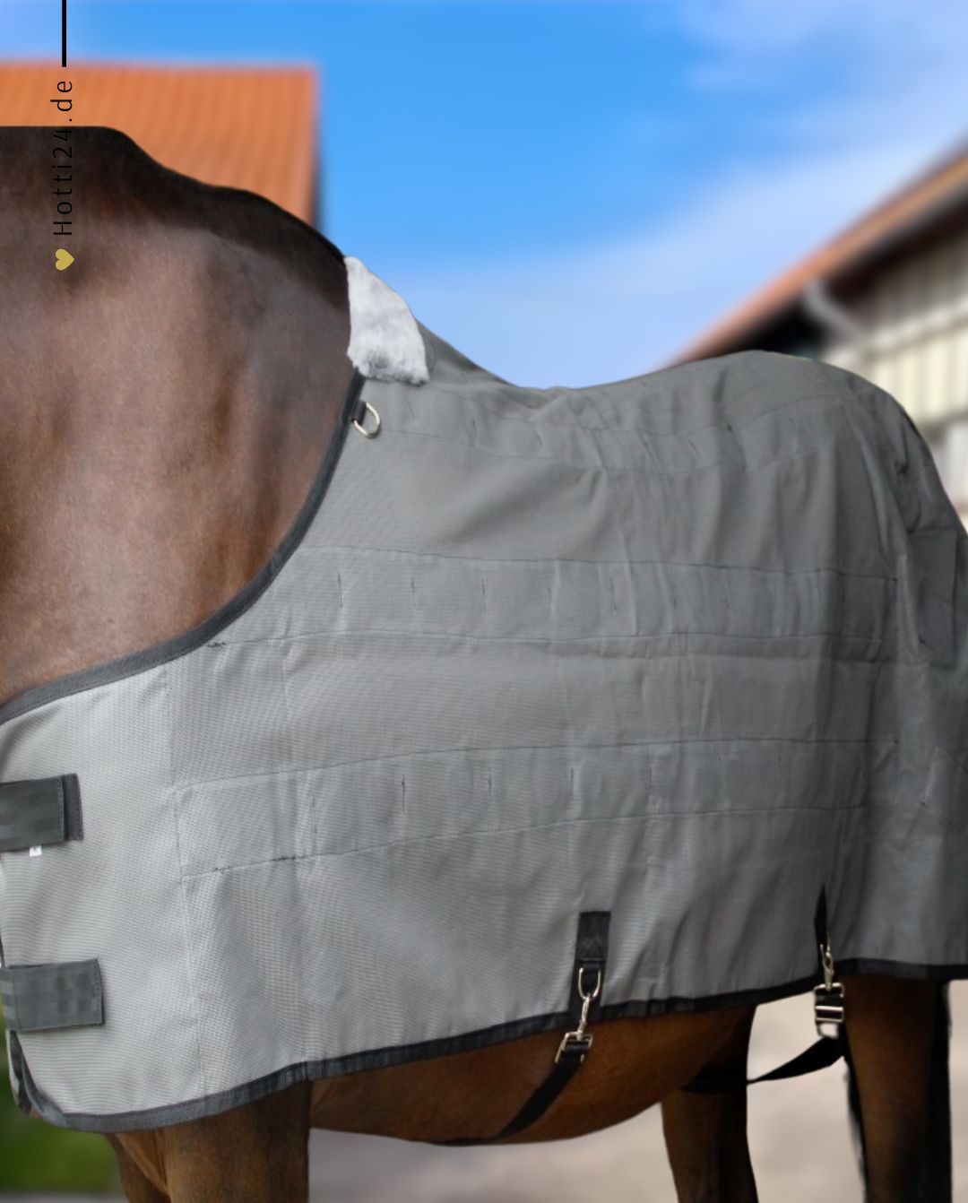 B-Stensgaard »Magnetfelddecke EquiMagnetic Grey