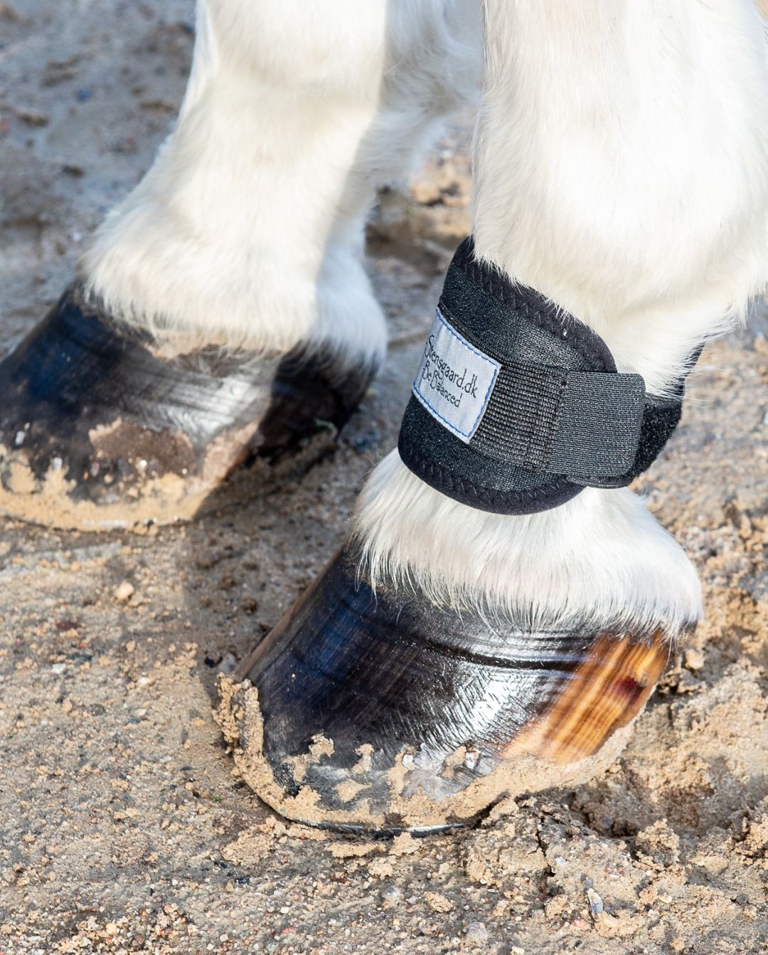 B-Stensgaard »Multibandage