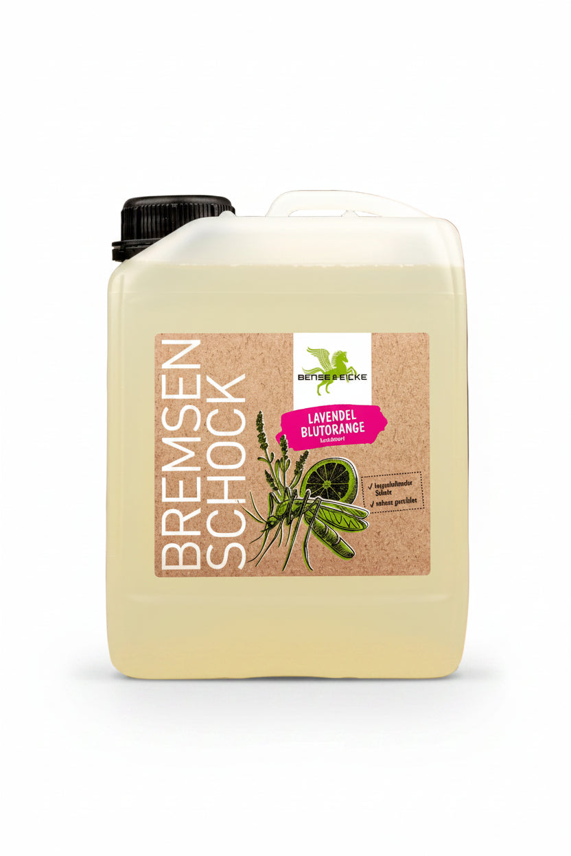 bense-eicke-bremsenschockspray-lavendel-blutorange-1281-kaufen-www.hotti24.de