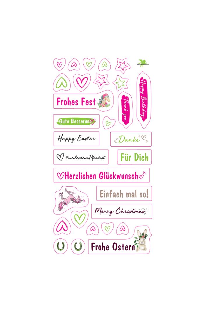 BENSE & EICKE »Gift set no. 2 = brush & StarFinish 500ml