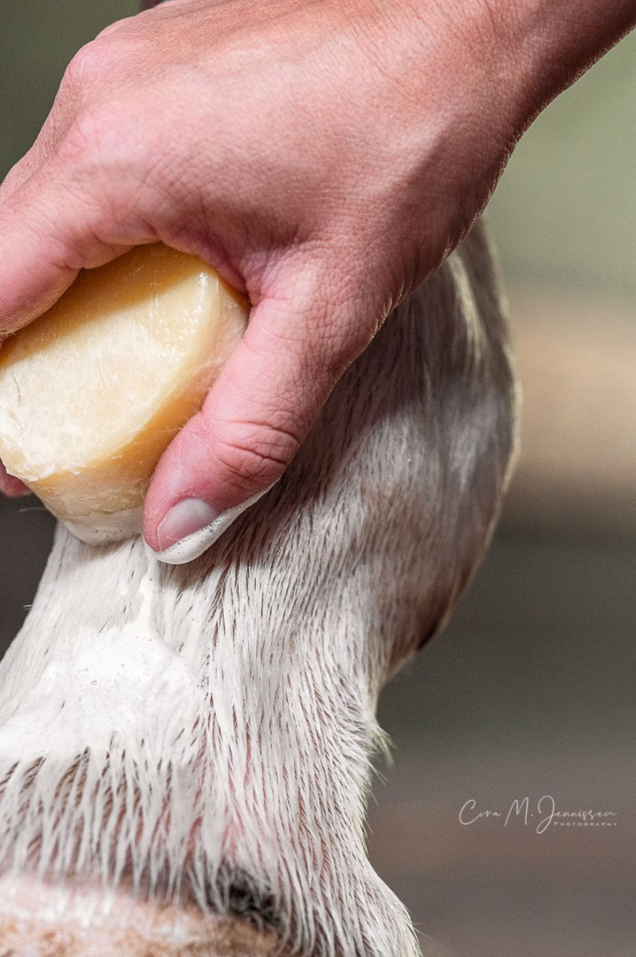 benseicke-hautfein-im-jutesack-5710-kaufen-www.hotti24.de
