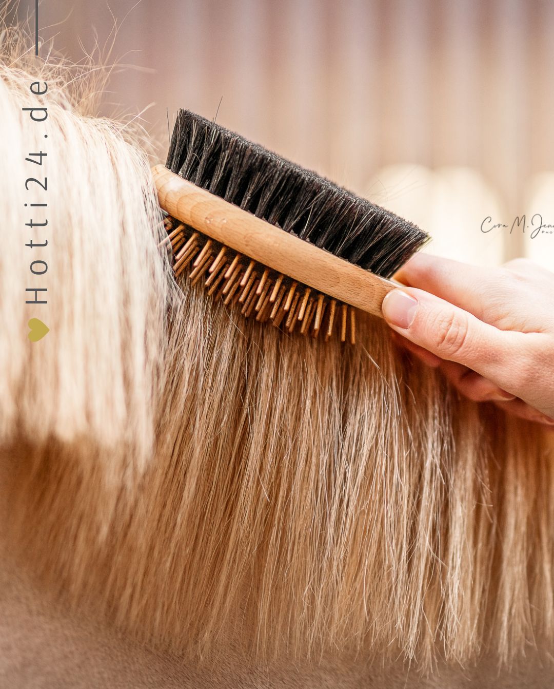 bense-eicke-kopfbuerste-kaemmlottee-1635-kaufen-www.hotti24.de