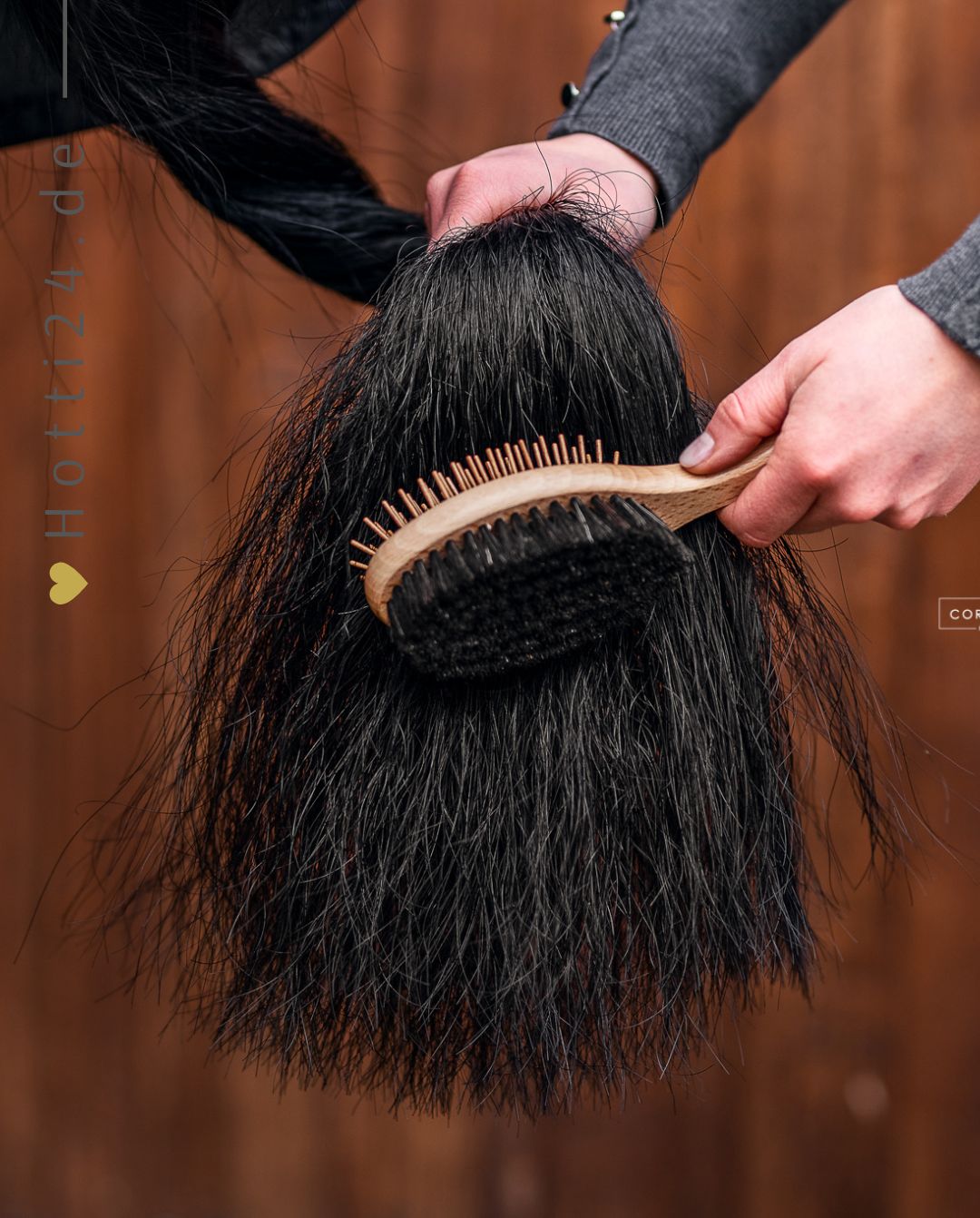 bense-eicke-kopfbuerste-kaemmlottee-1635-kaufen-www.hotti24.de