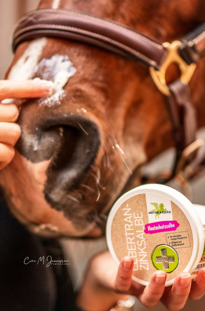 Bense & Eicke »Cod Liver Oil Zinc Ointment 250g