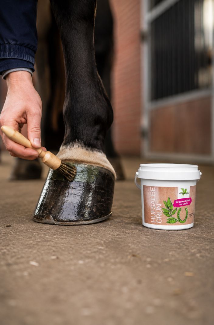 BENSE & EICKE »Hoof Care Hoof Ointment Green