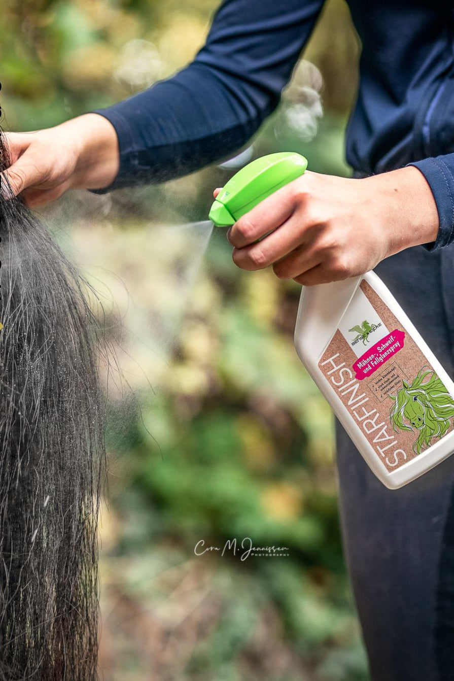 bense-eicke-maehnenspray-starfinish