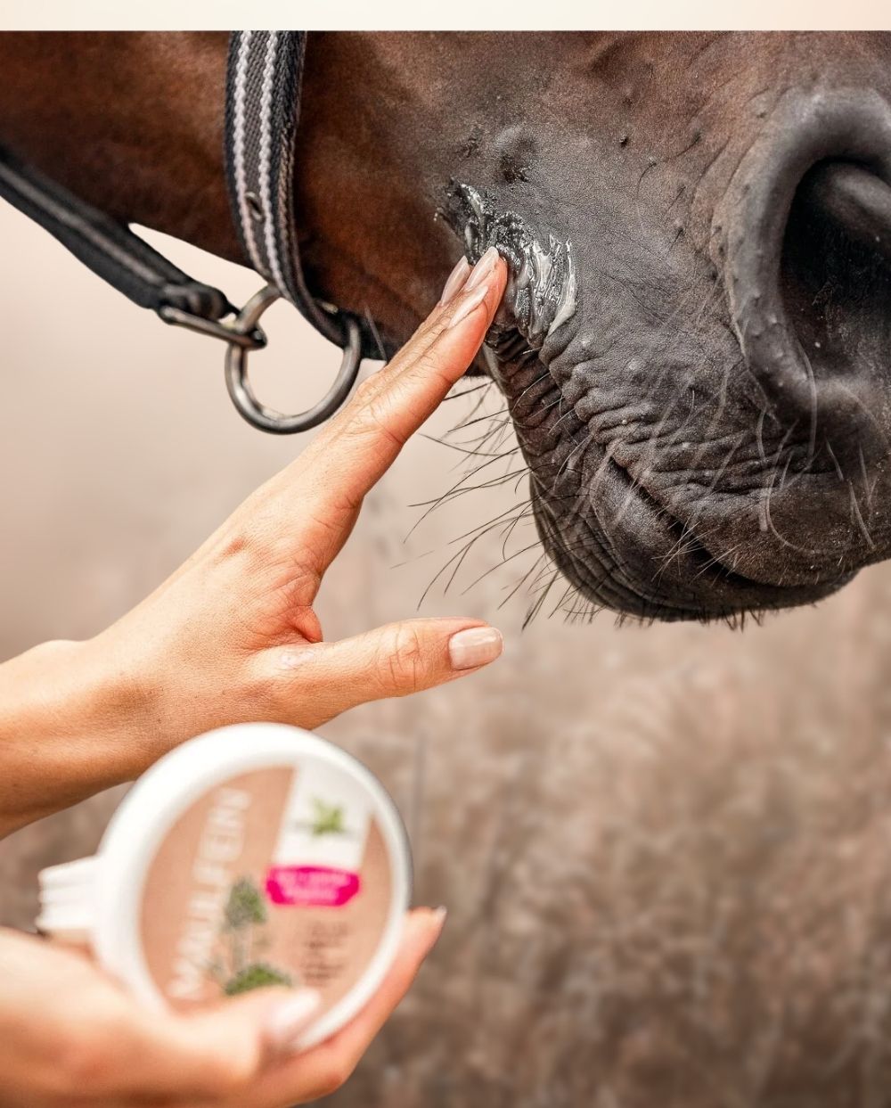 Bense & Eicke »Hautschutz MaulFein 100ml