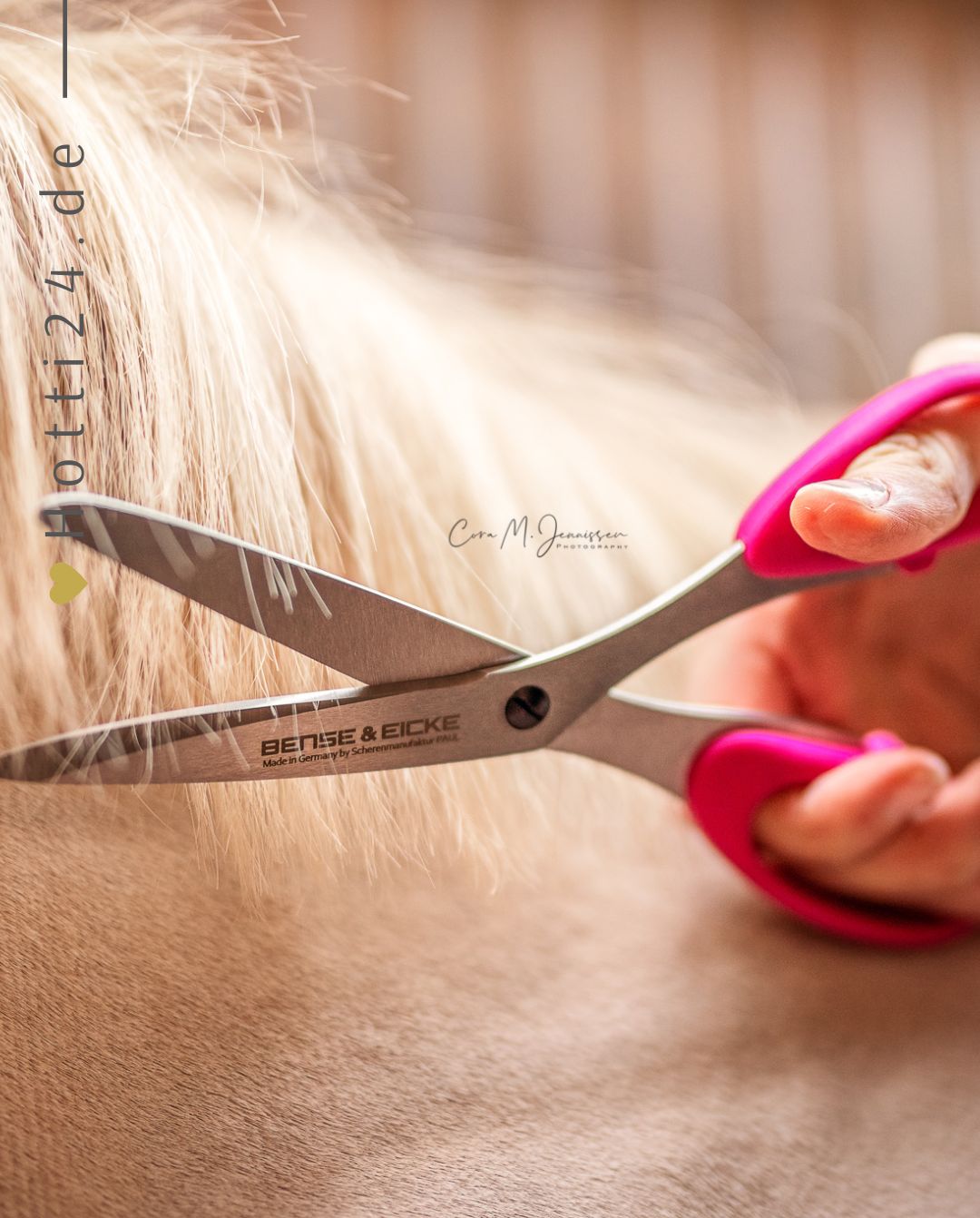 bense-eicke-schweifschere-schnittberta-1655-kaufen-www.hotti24.de