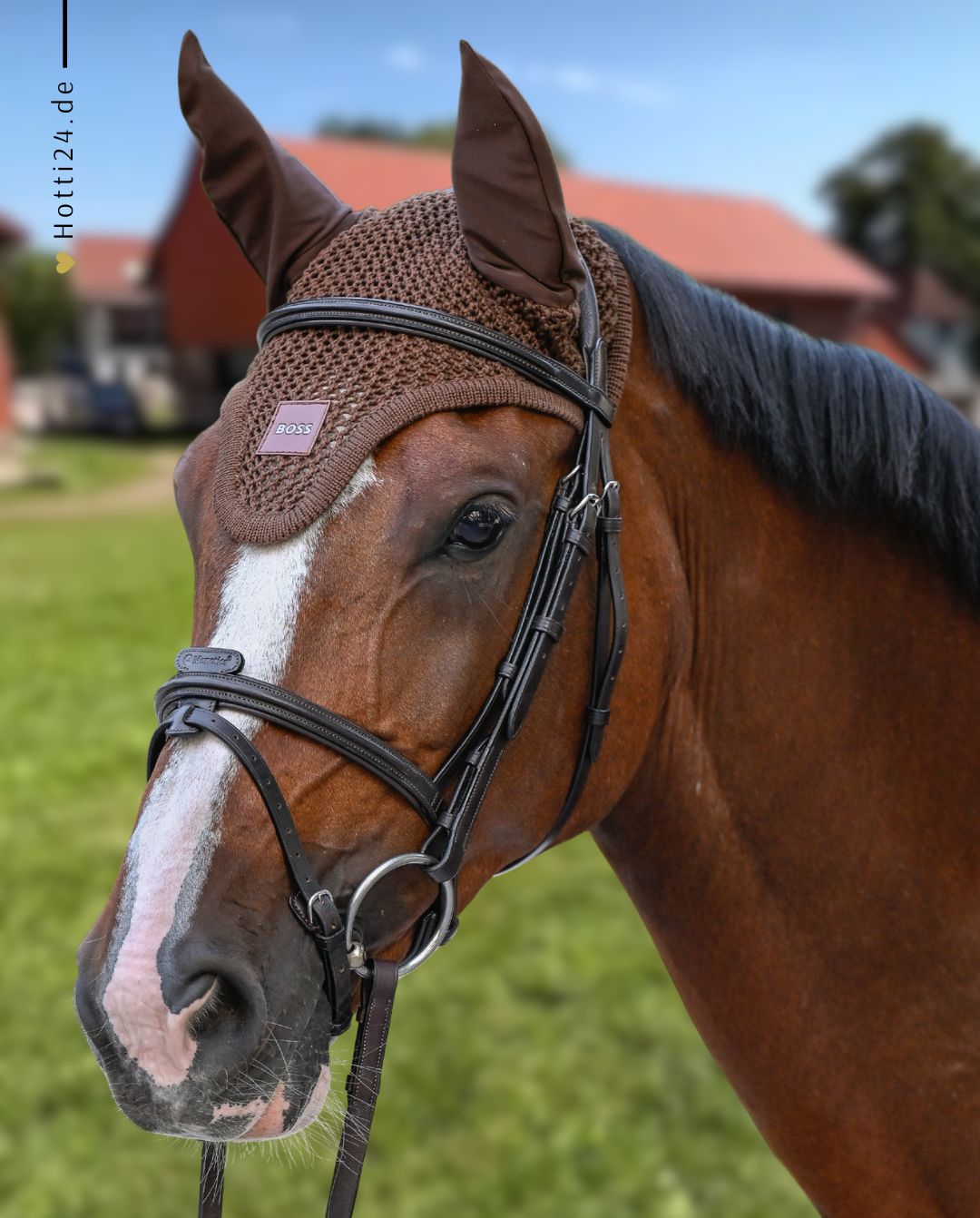 BOSS Equestrian »Fliegenhaube Cappuccino