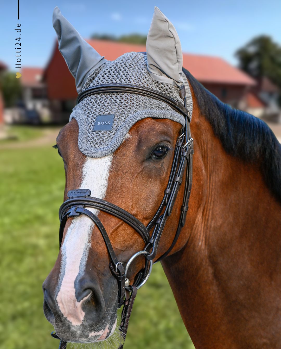 BOSS Equestrian »Fliegenhaube Greymelange