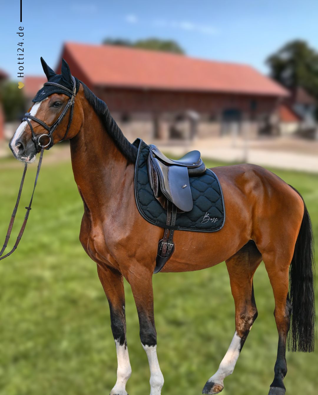 BOSS Equestrian »Dressurschabracke Glitter Black