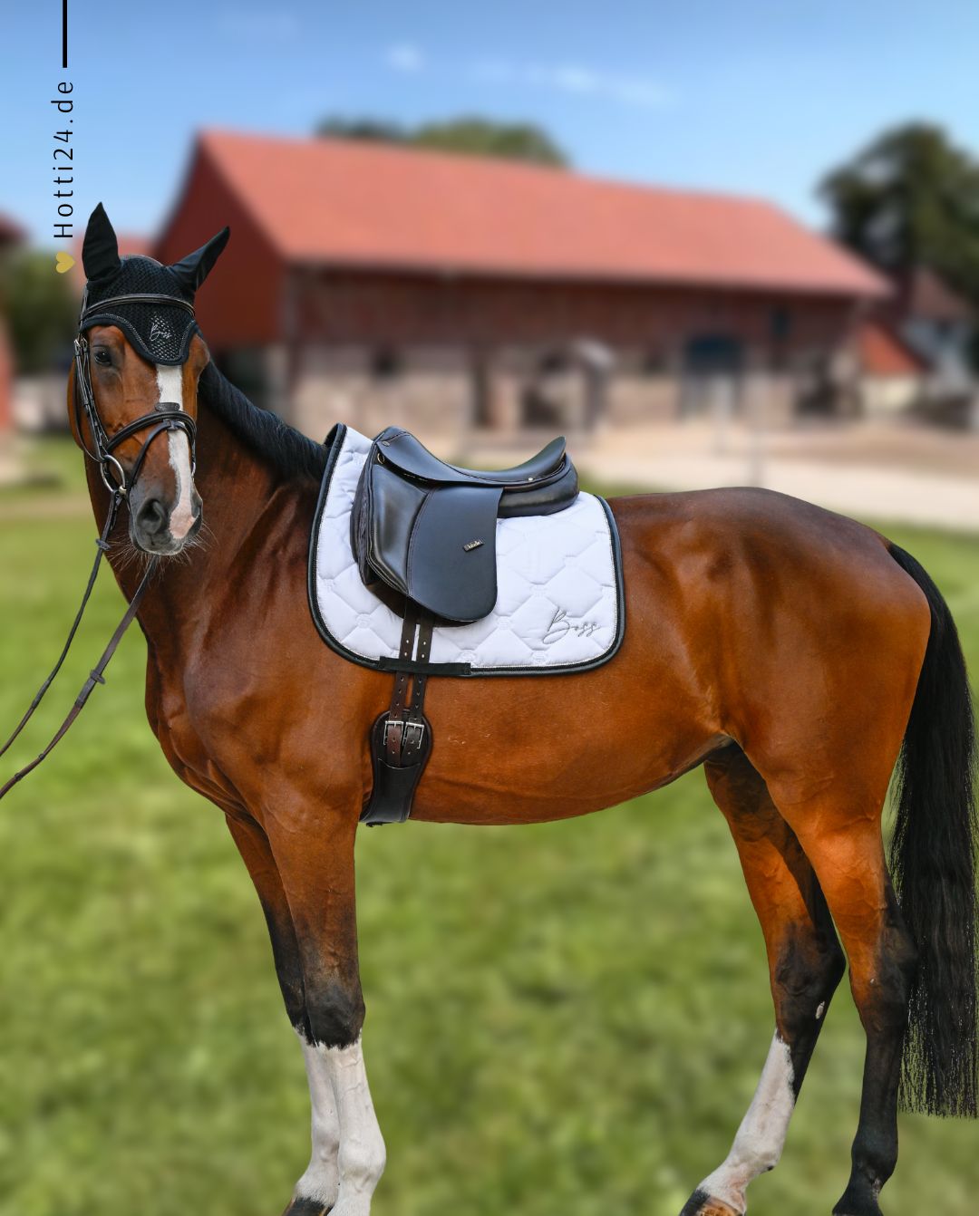 BOSS Equestrian »Dressurschabracke Glitter White
