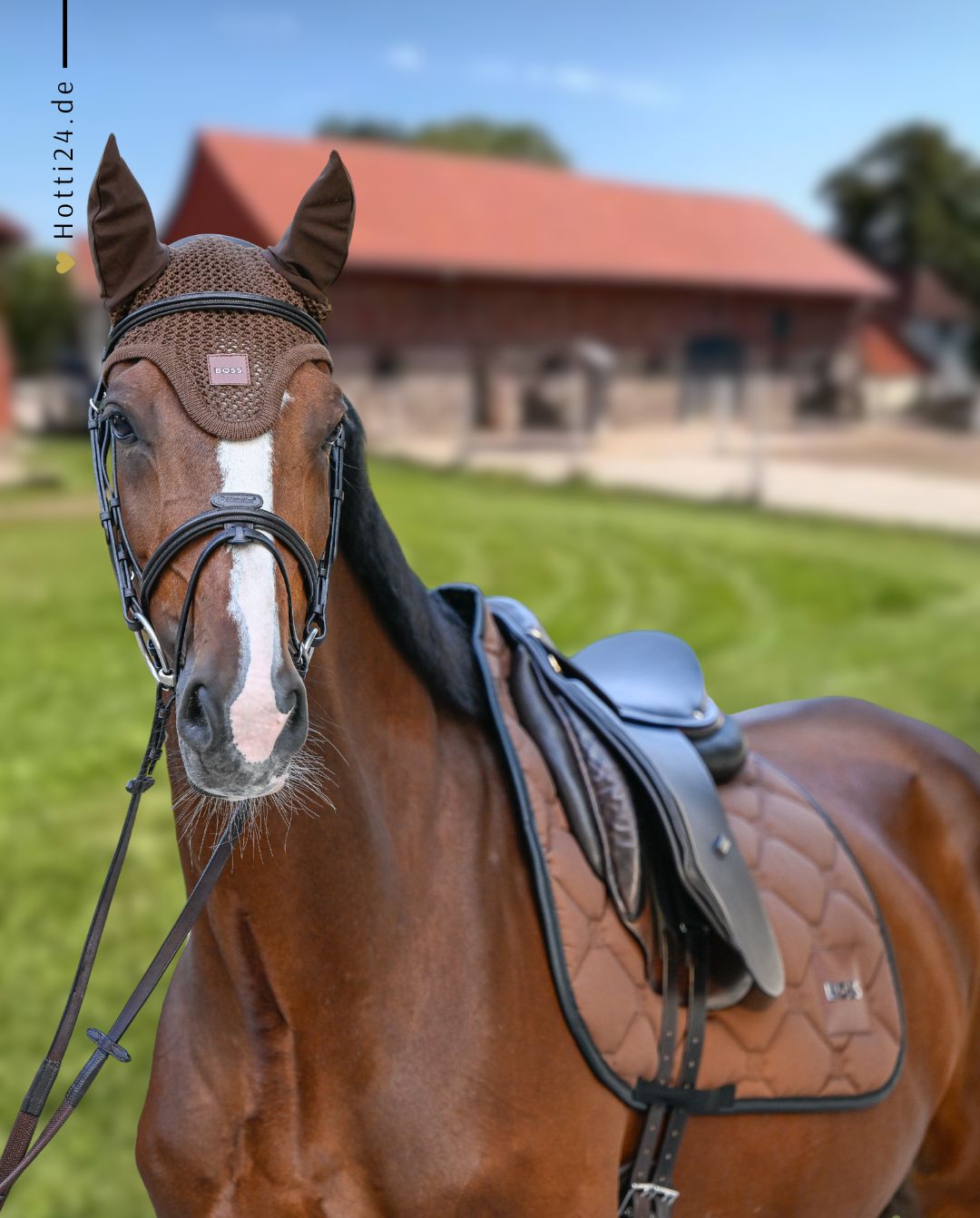 BOSS Equestrian »Jumping Saddle Pad Cappuccino