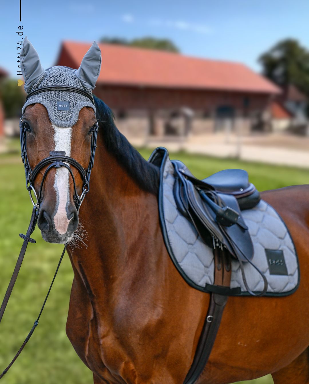 BOSS Equestrian »Jumping Saddle Pad Greymelange