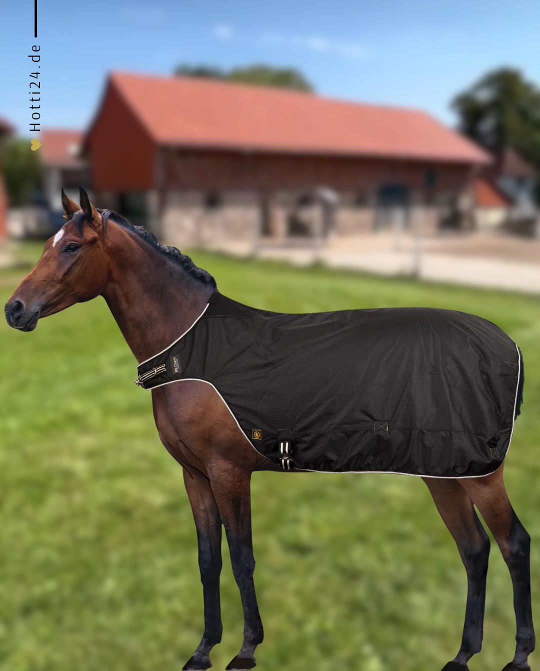 BR »Führanlagendecke Classic 150g Black