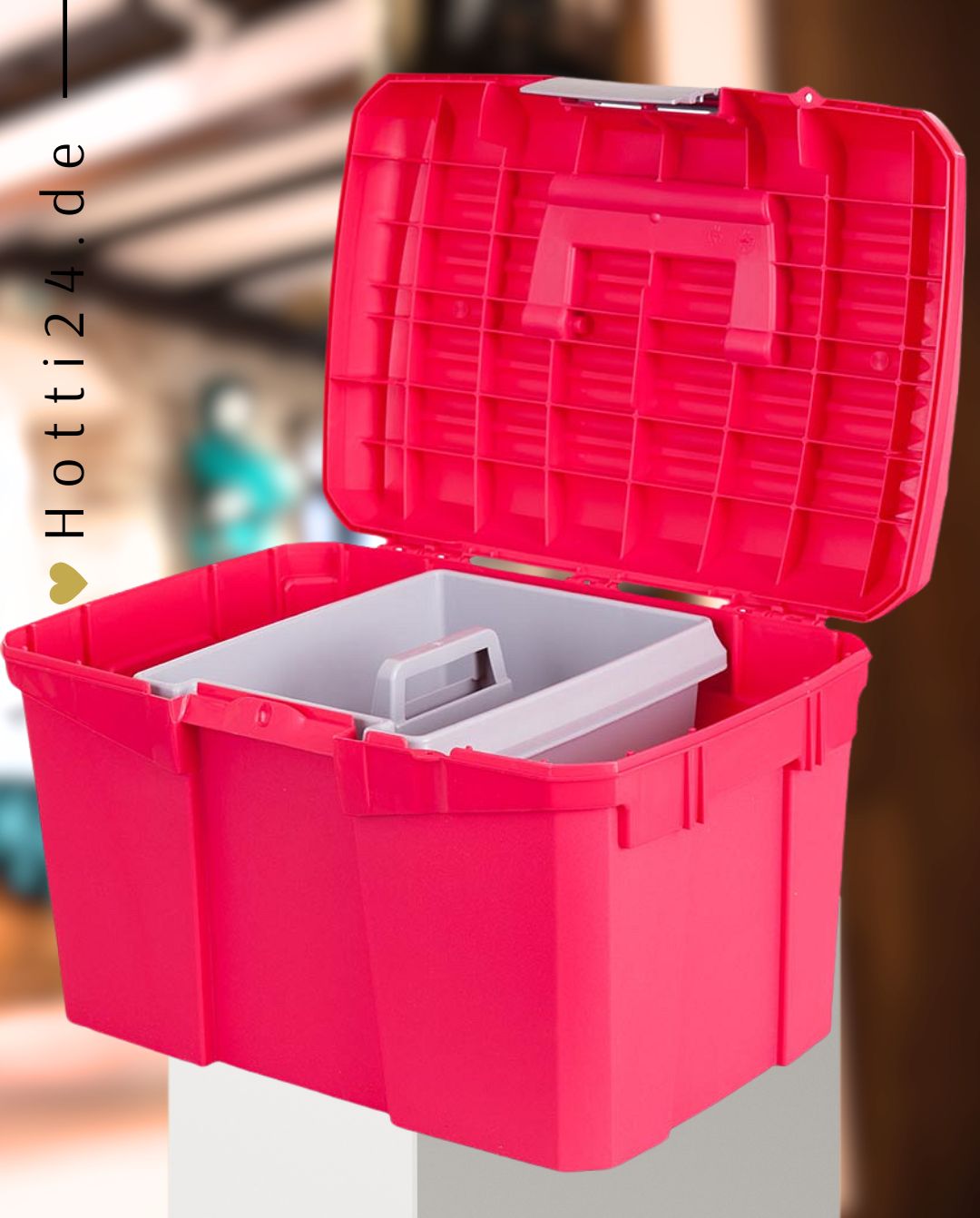 BR »Putzbox Carlo II Raspberry