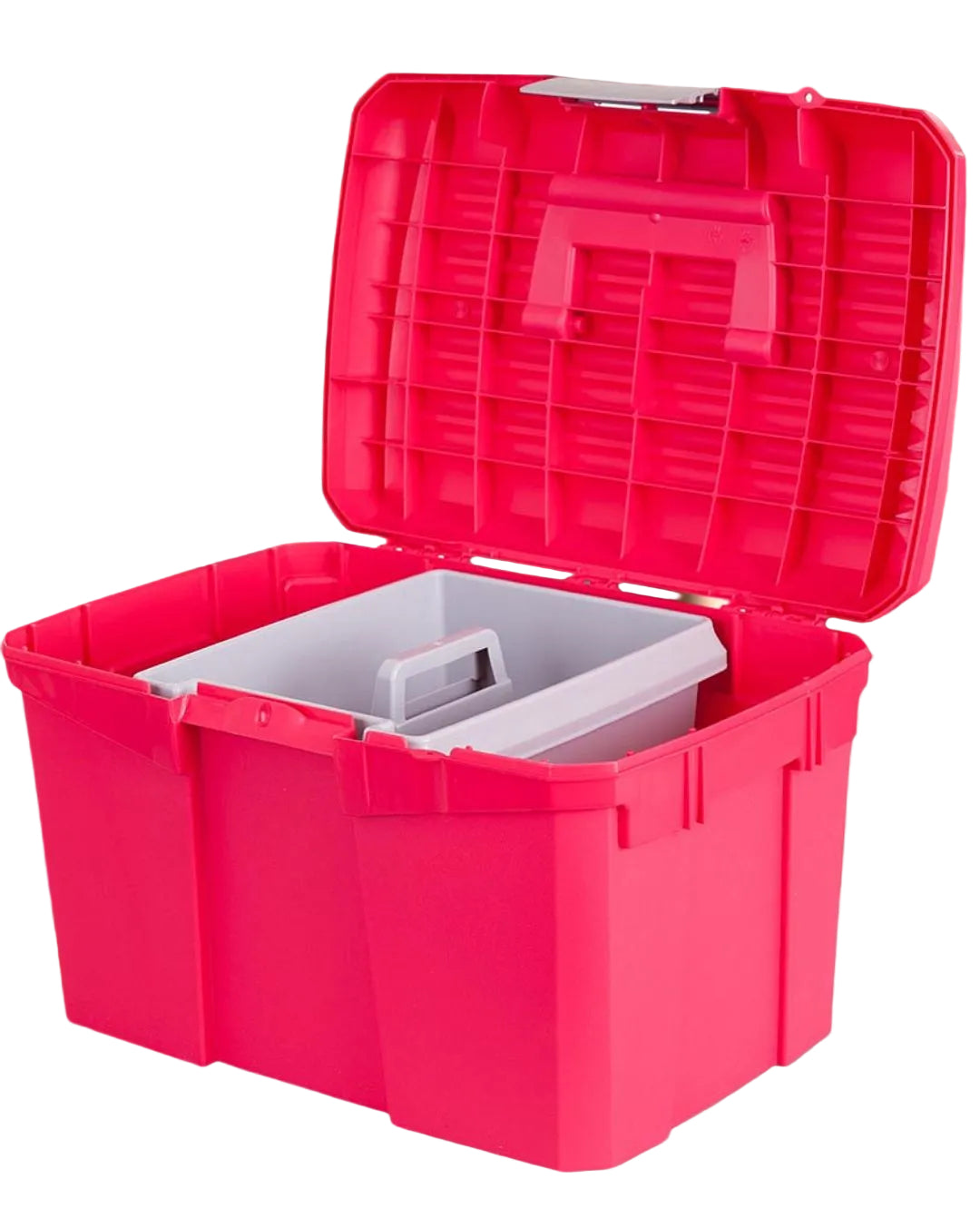 BR Putzbox Carlo II Raspberry