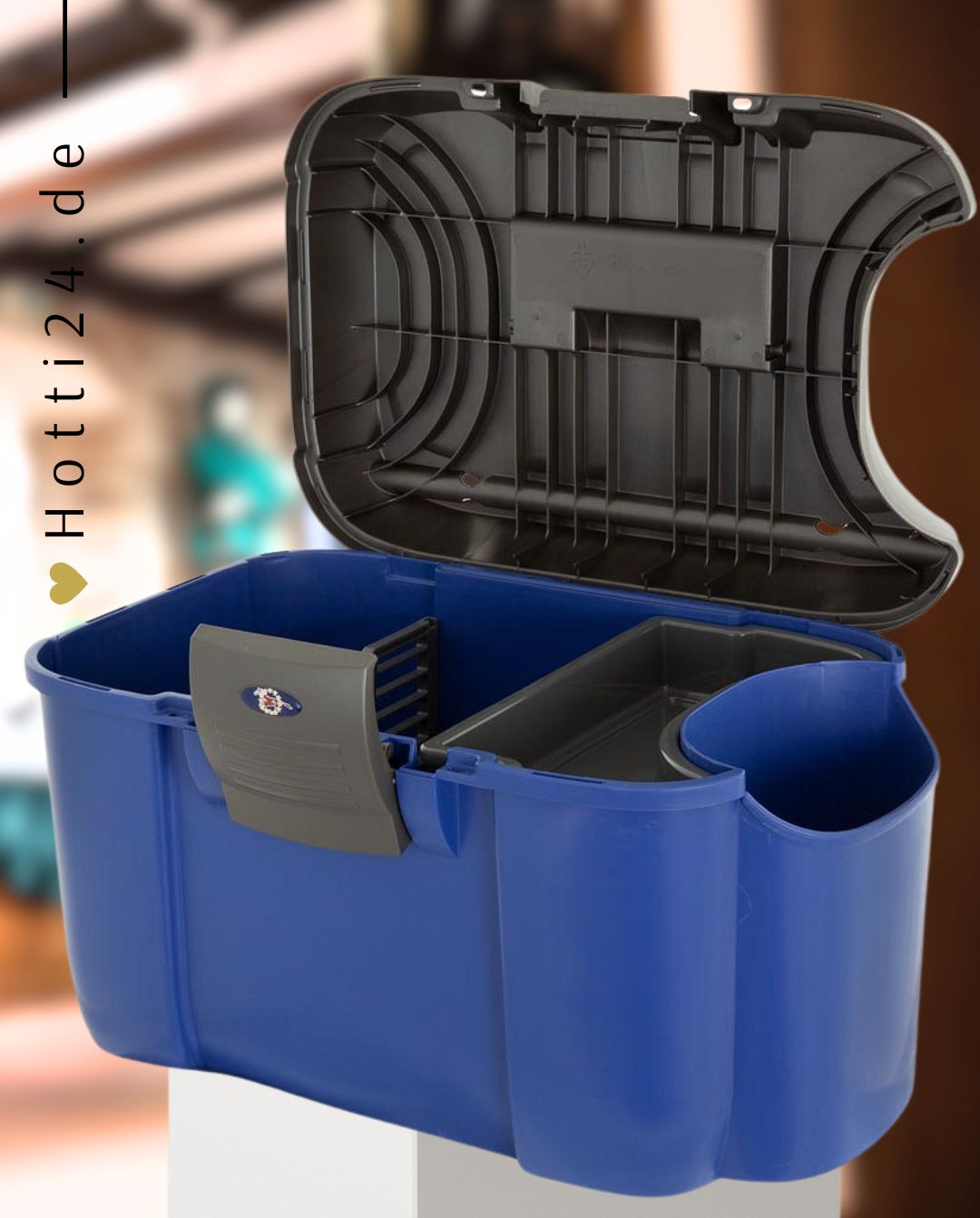 BR »Putzbox und Aufsteighilfe Koala Blue