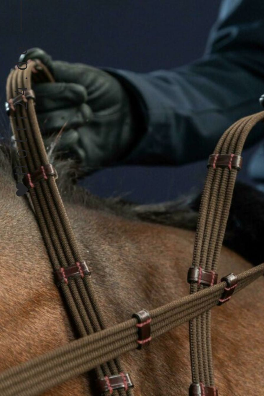 Dy'on »Zügel Gurtzügel New English mit 9 Stegen Brown