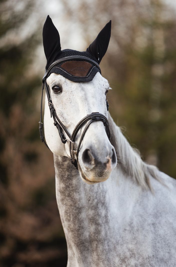 Equiline Fliegenhaube Eqenti Coffee Bean
