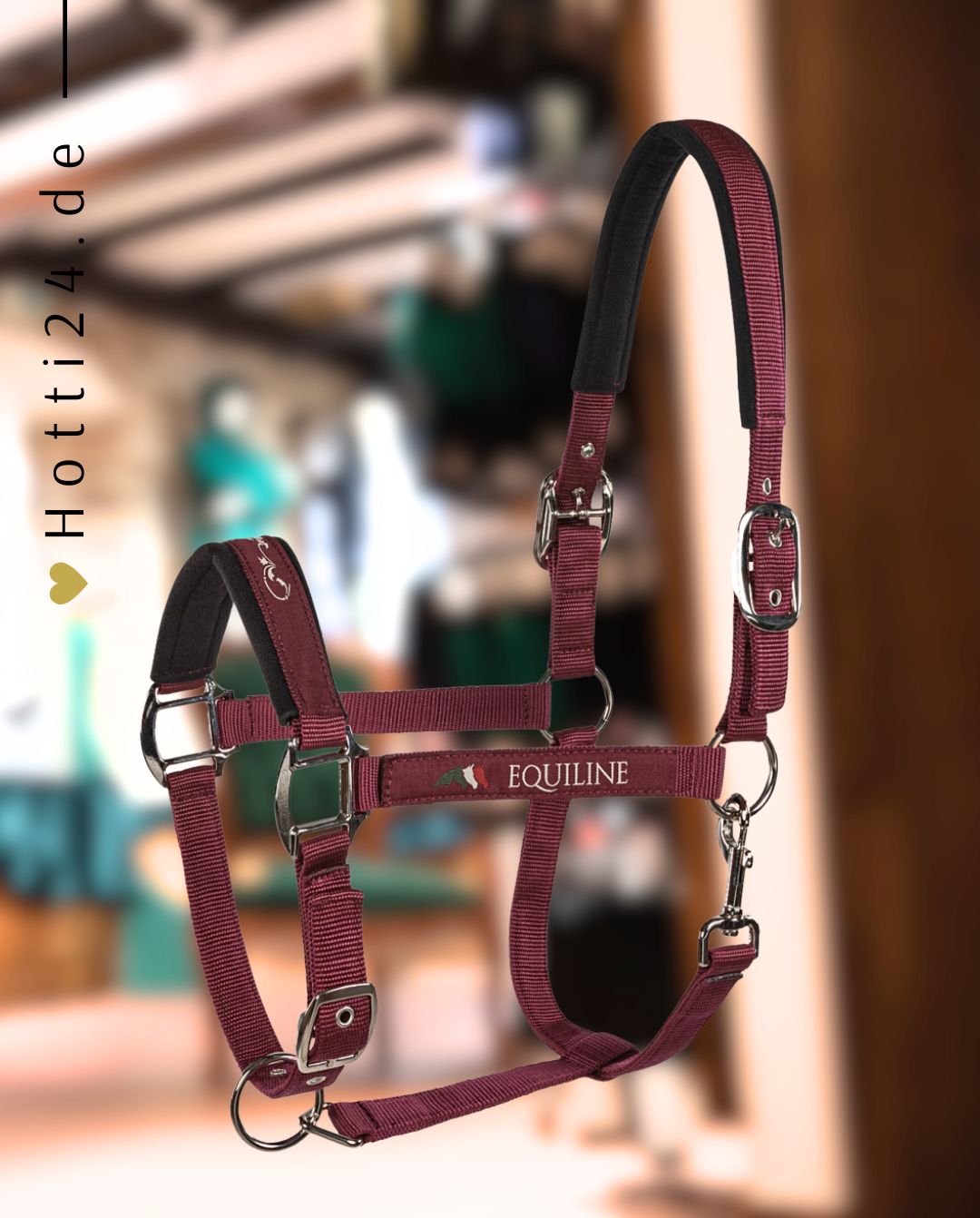 equiline-halfter-timmy-bordeaux-ec018pe00123-009-kaufen-www.hotti24.de