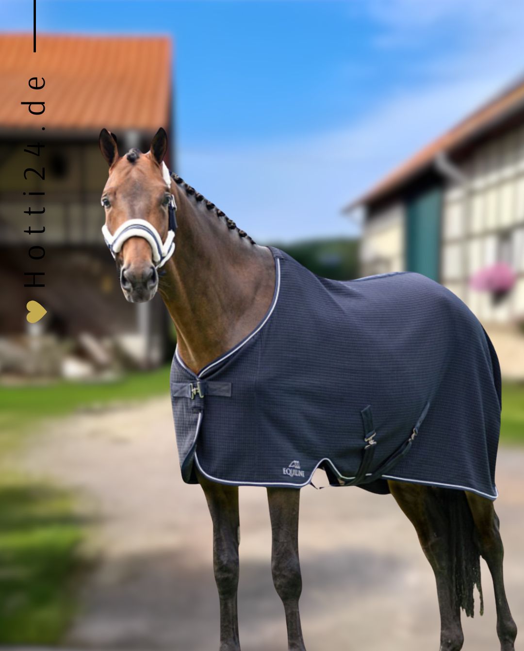 EQUILINE »Abschwitzdecke Climate Control