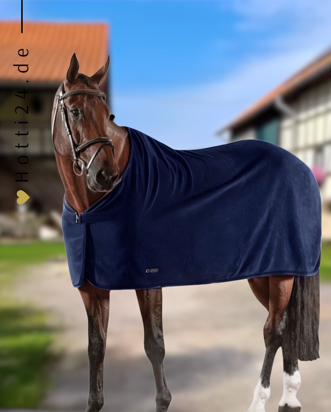 equiline-pferde-abschwitzdecke-hugo-navy-a12020-002-kaufen-www.hotti24.de