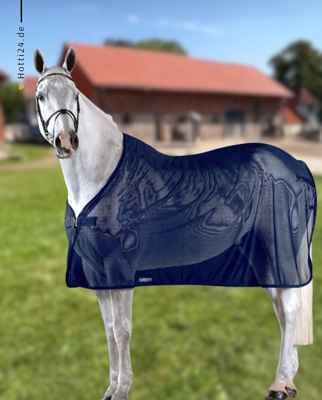 equiline-pferde-ausreidecke-weston-ec018pa11045-002-blau-kaufen-www.hotti24.de