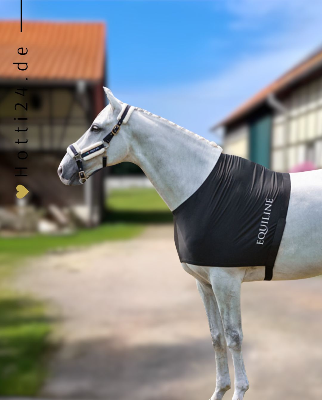 Equiline Breastplate Edinburgh