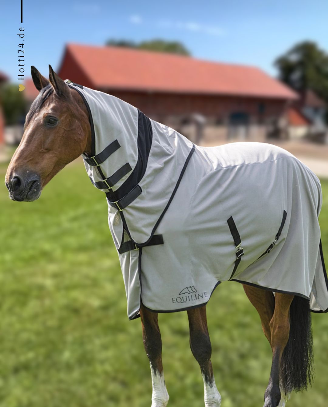 equiline-pferde-fliegendecke-lemonfly-ec018pa11043-034-kaufen-www.hotti24.de
