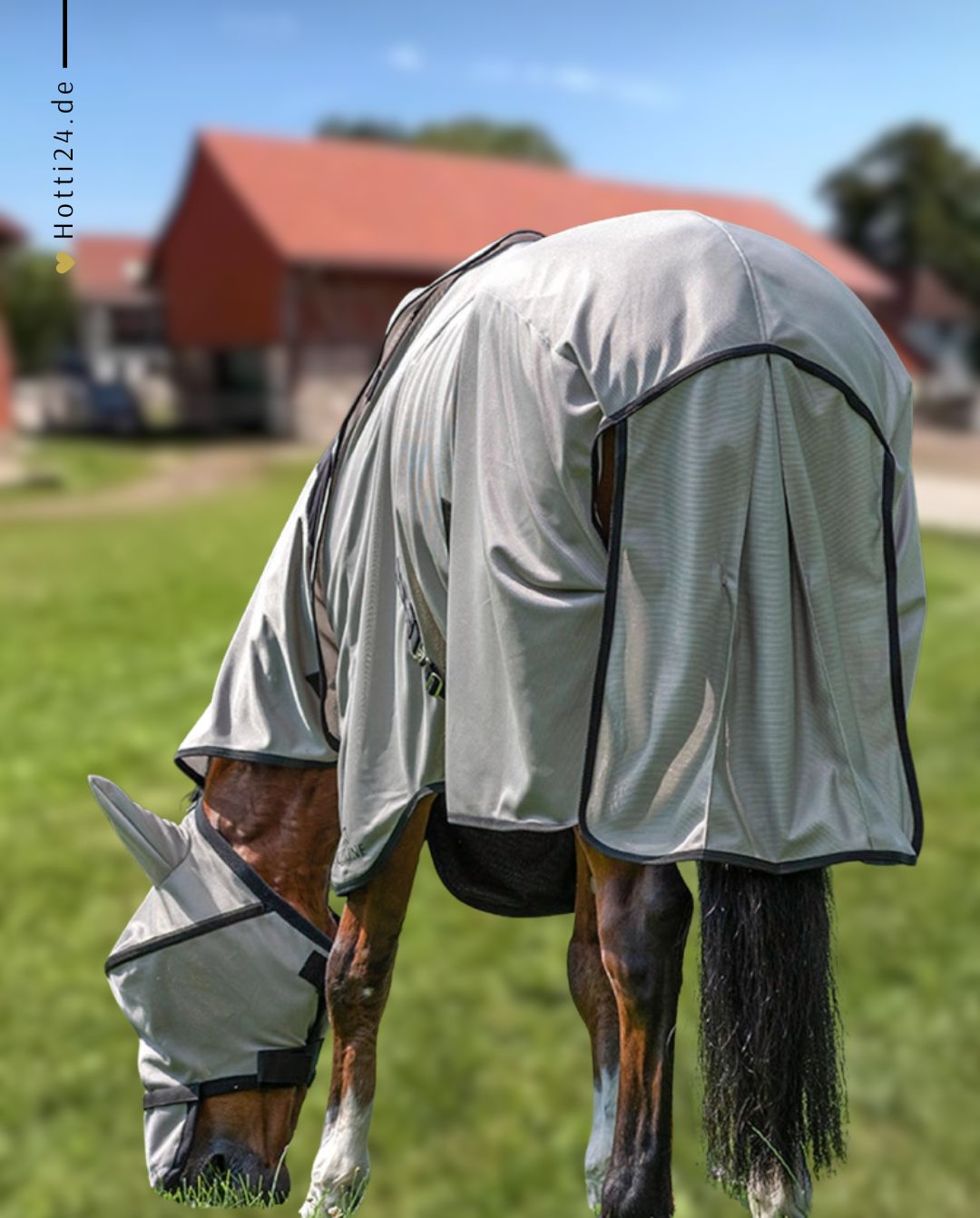 EQUILINE »Fliegendecke Lemonfly Grey