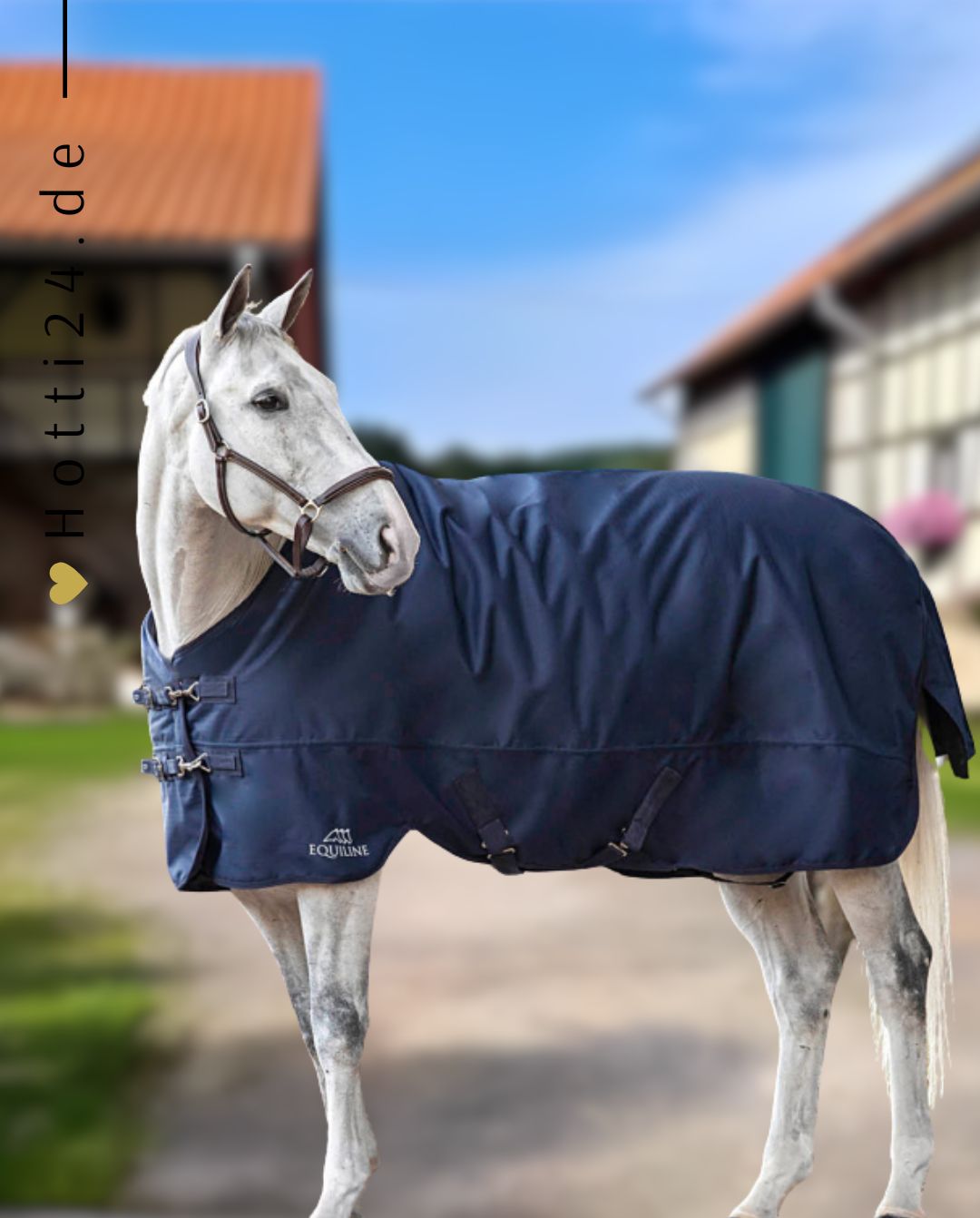equiline-pferde-outdoordecke-calantha-blau-ec018pa11174-2-001-kaufen-www.hotti24.de