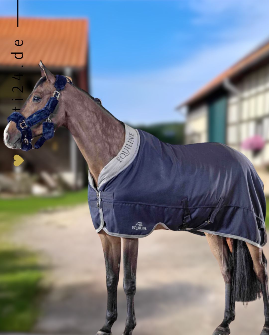 equiline-pferde-paddockdecke-anthurium-ew123pa11176-2-207-kaufen-www.hotti24.de