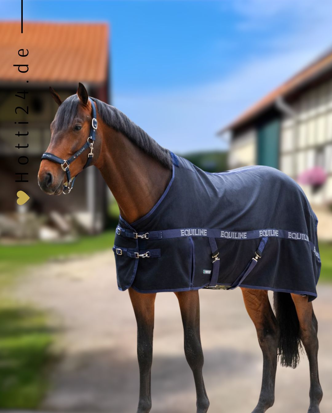 equiline-pferde-stalldecke-reynosa-blau-ec018pa032-kaufen-www.hotti24.de