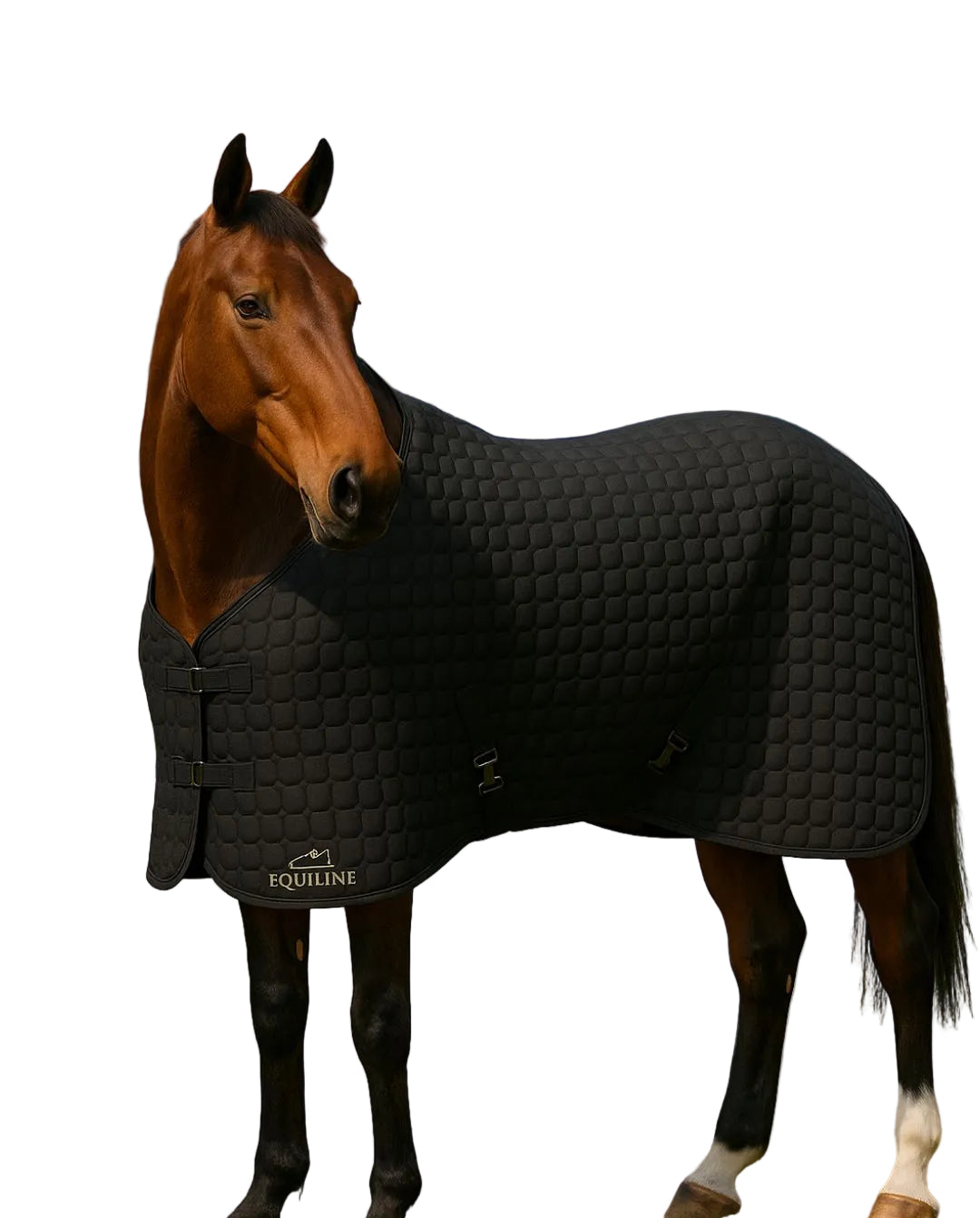 equiline-stalldecke-adonis-blau-ew124pa11227-002-kaufen-www.hotti24.de