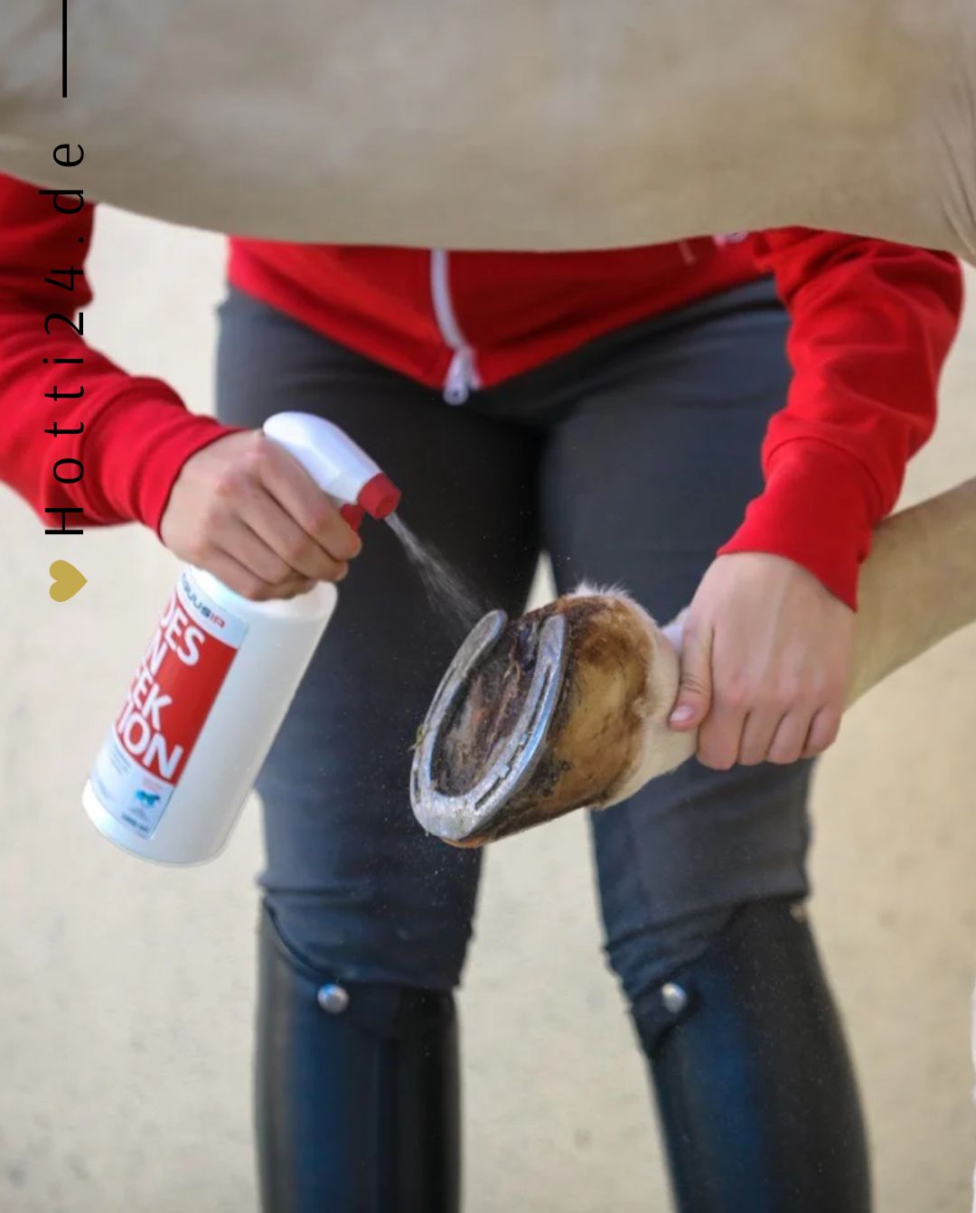 Equusir »BIONIC Desinfektion 500ml