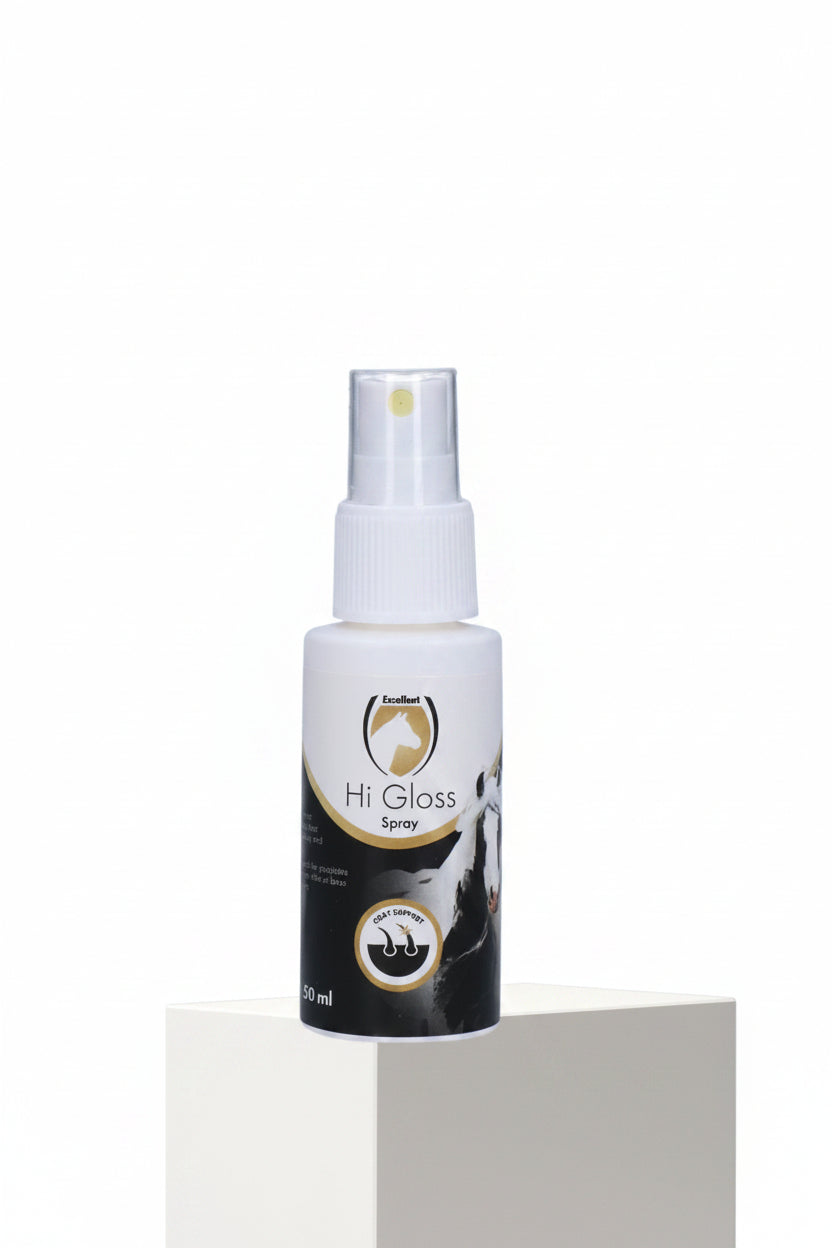 excellent-hi-gloss-spray-higl00060-kaufen-www.hotti24.de