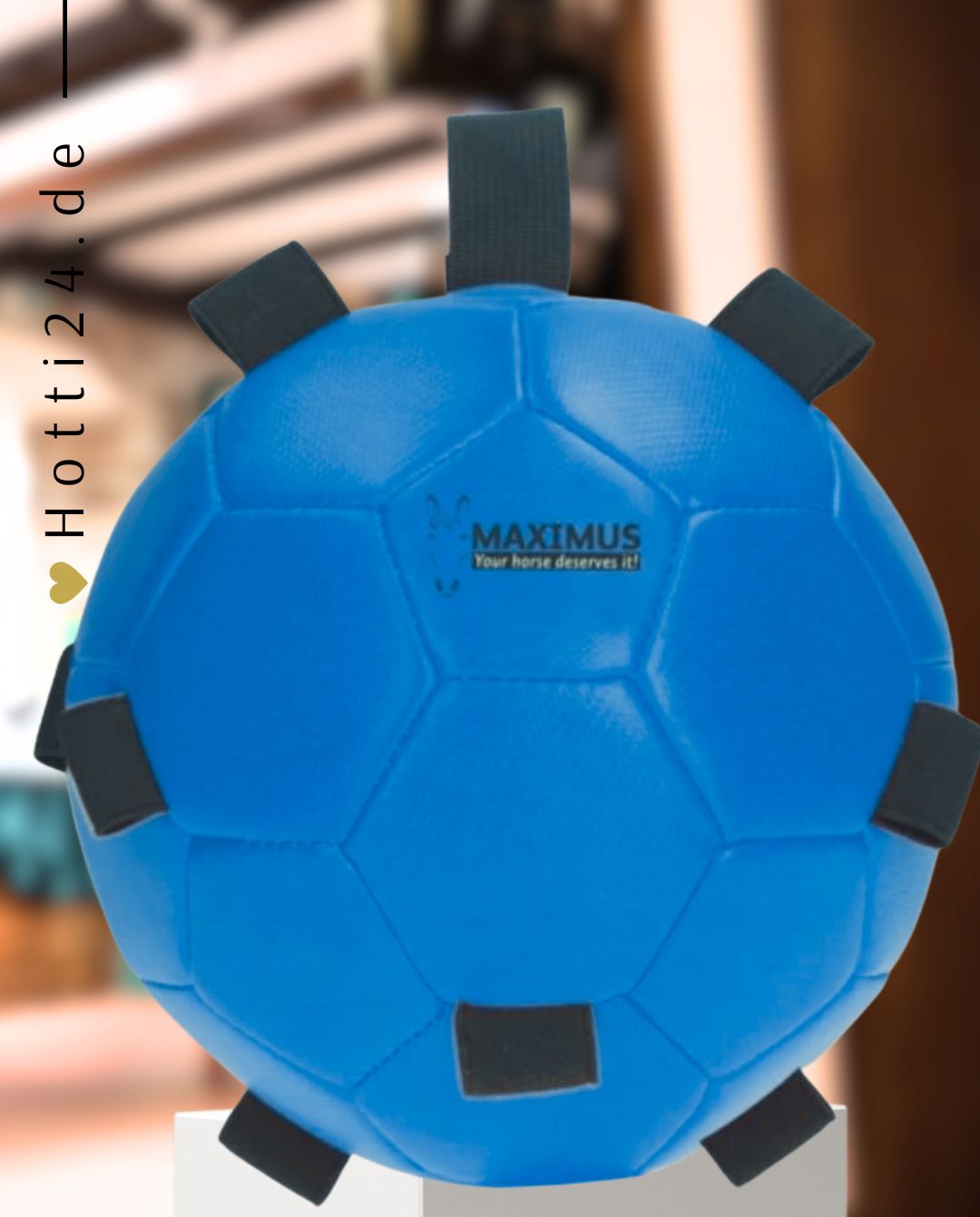 excellent-horse-fun-play-ball-blue-maxi5302-kaufen-www.hotti24.de