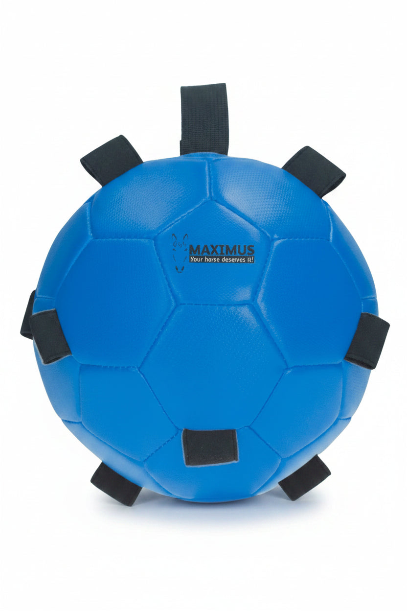 excellent-horse-fun-play-ball-blue-maxi5302-kaufen-www.hotti24.de