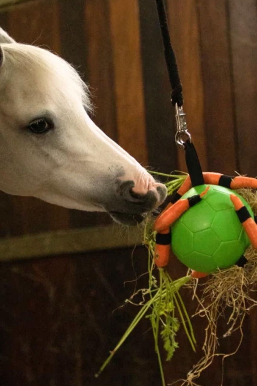 excellent-horse-fun-play-ball-kaufen-hotti24.de