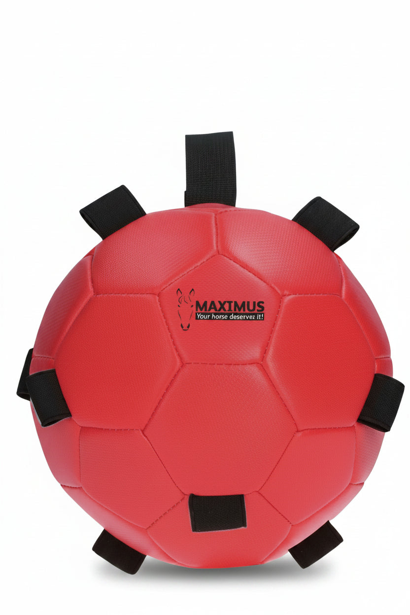 excellent-horse-fun-play-ball-rot-maxi5301-kaufen-www.hotti24.de