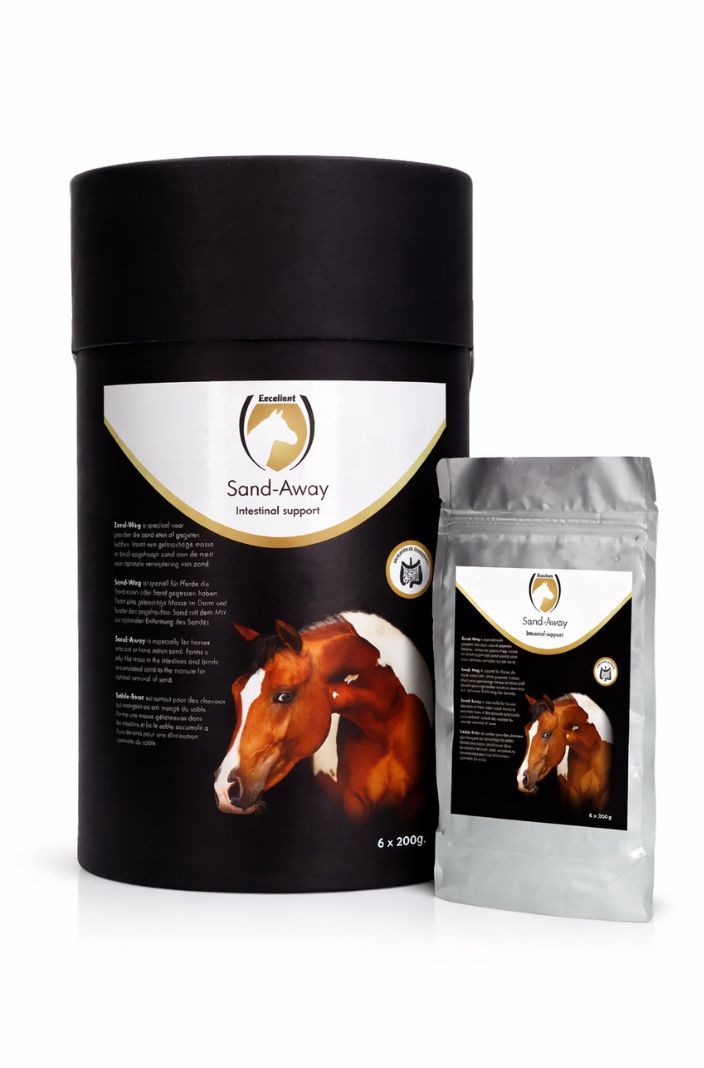excellent-horse-sand-away