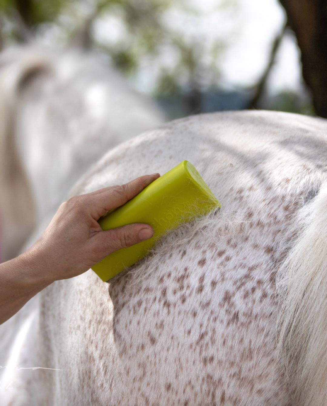 fellschön »Pferdebürste Fellwechselhelfer