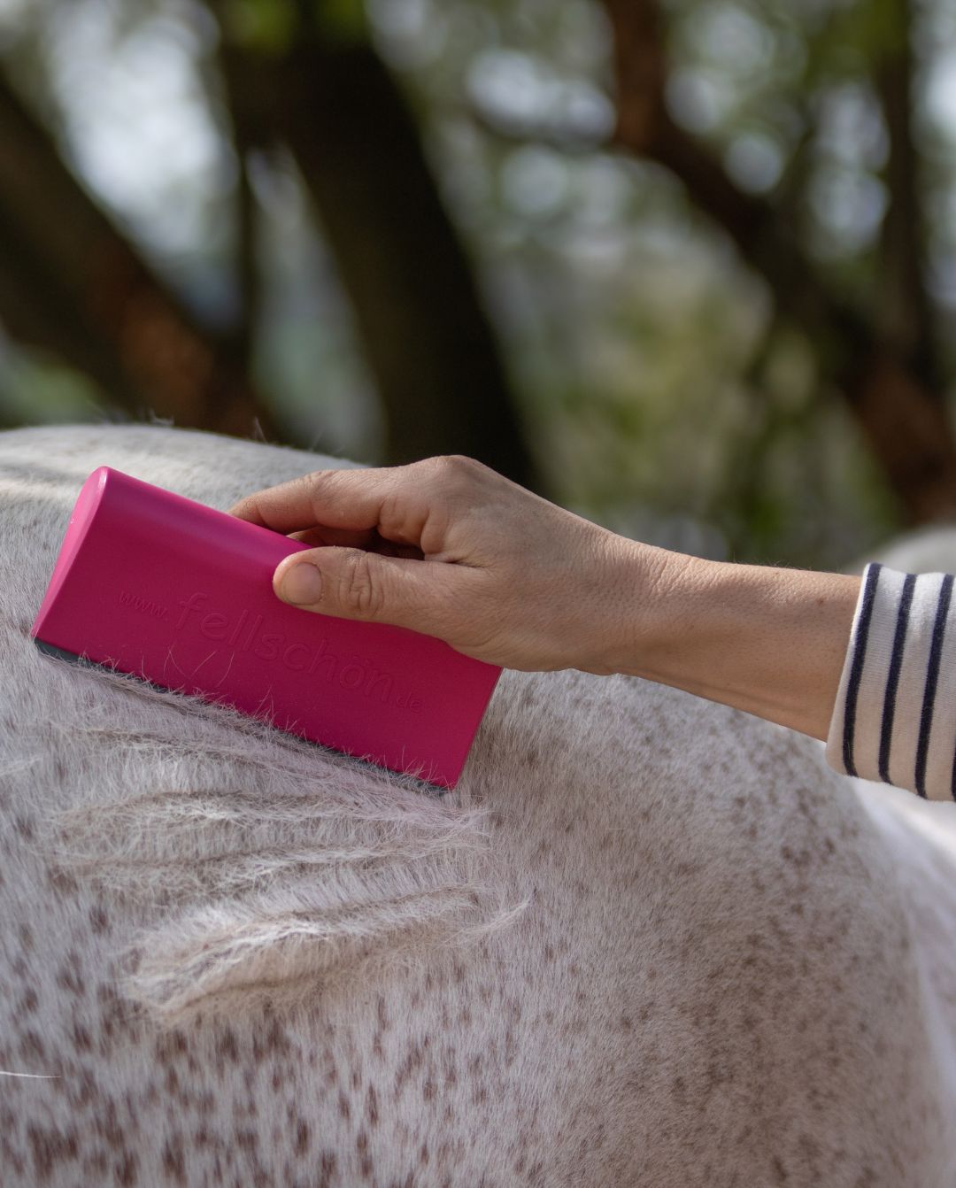 fellschön »Pferdebürste Fellwechselhelfer