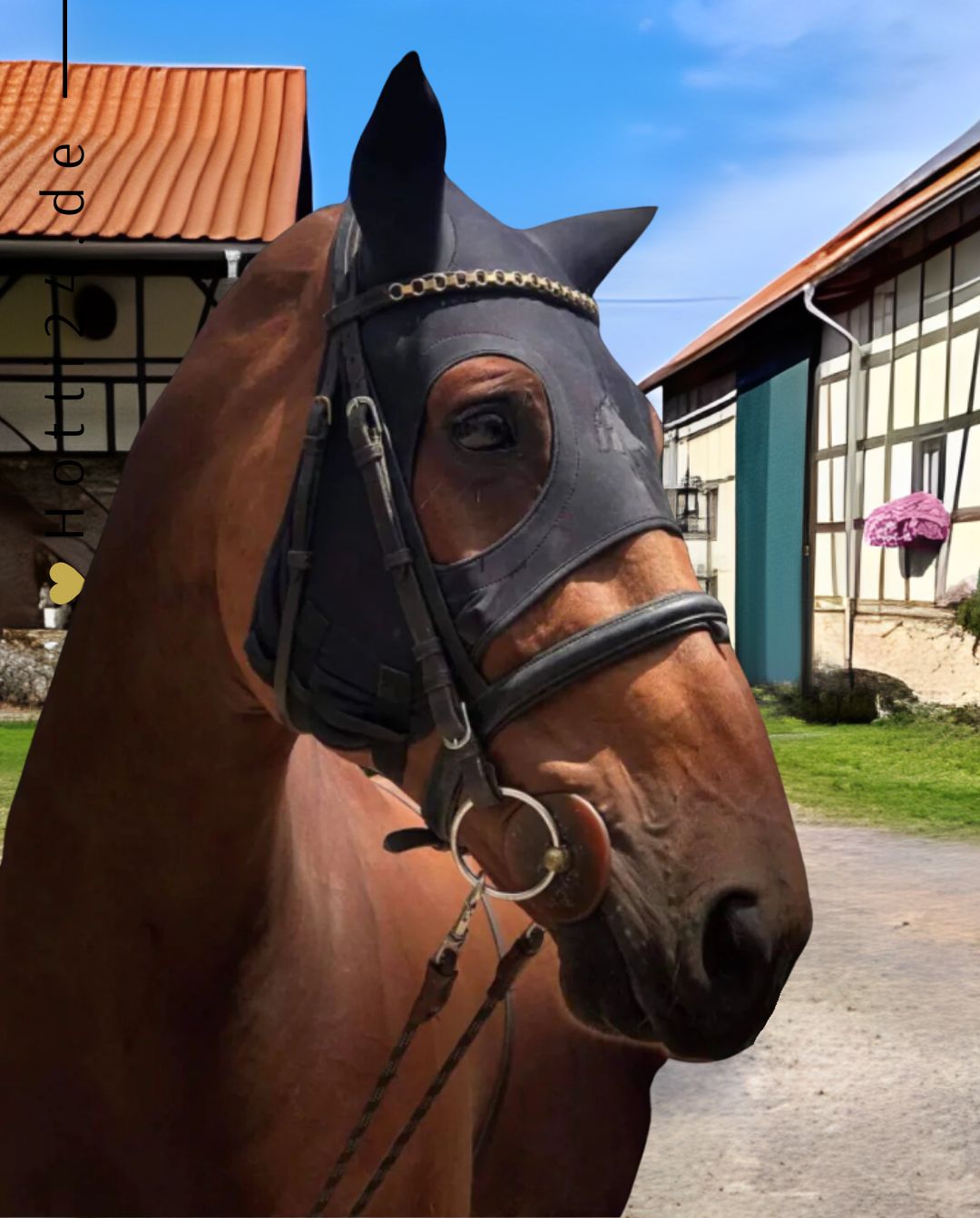 fenwick-pferde-maske-liquid-titanium-814788014841-kaufen-www.hotti24.de